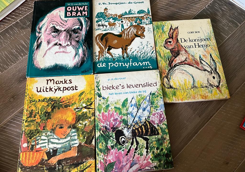 Diverse oude jeugdboeken, Ophalen of Verzenden, Gelezen