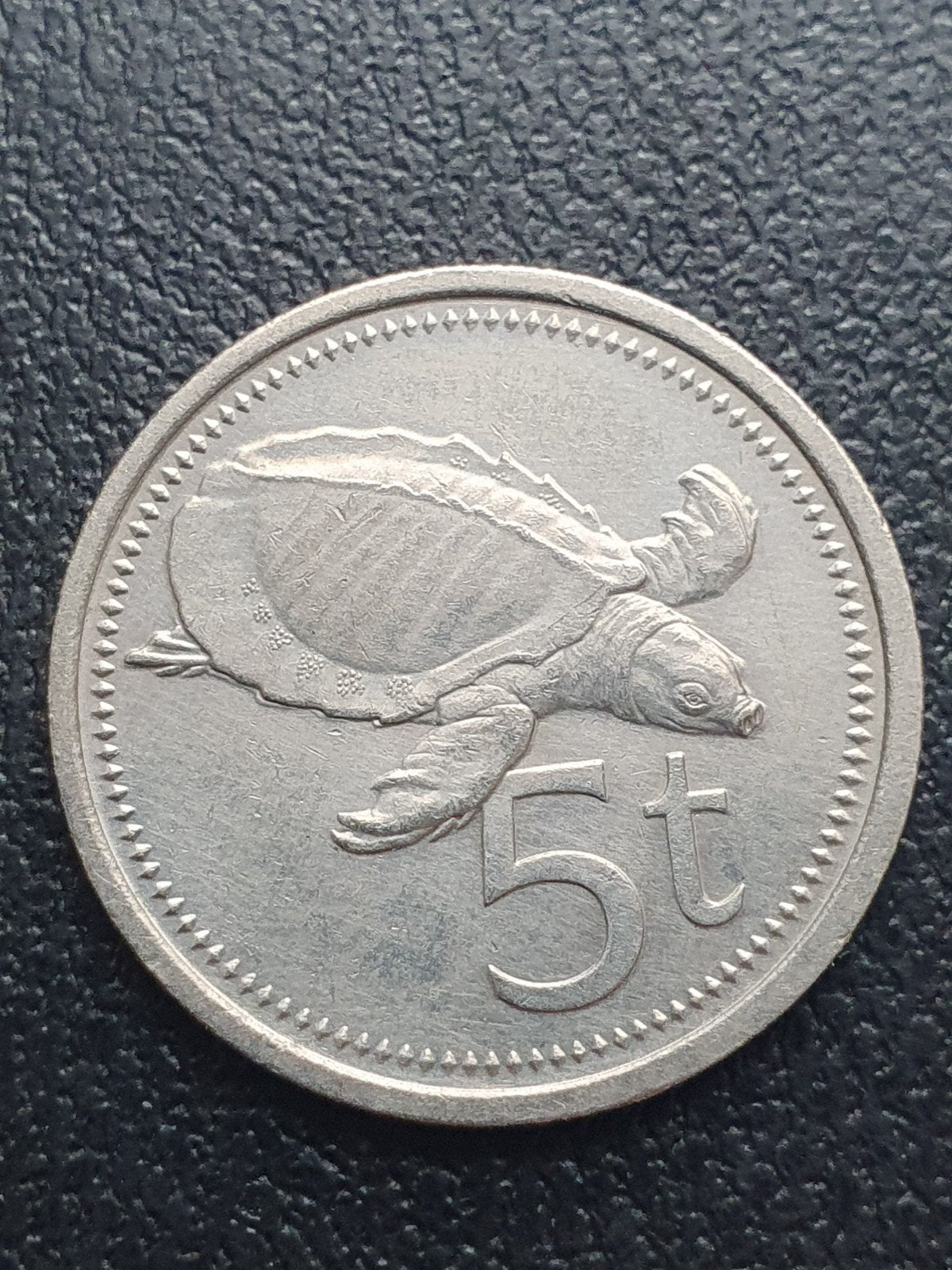 5 Toea munt uit 1975 Papoea-Nieuw-Guinea., Postzegels en Munten, Ophalen of Verzenden, Losse munt
