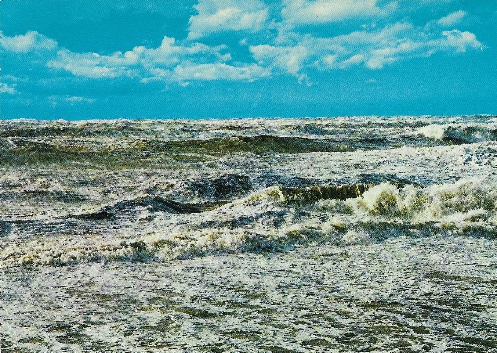 Ansichtkaart  	Noordzee, Verzenden, 1960 tot 1980, Ongelopen, Zuid-Holland