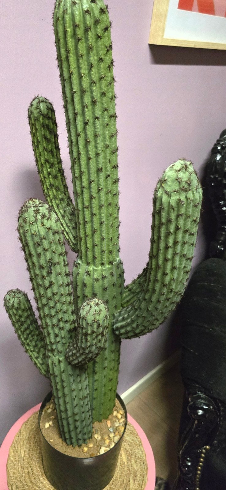 Grote kunstcactus, Ophalen, Binnen, Groen, Met pot of vaas