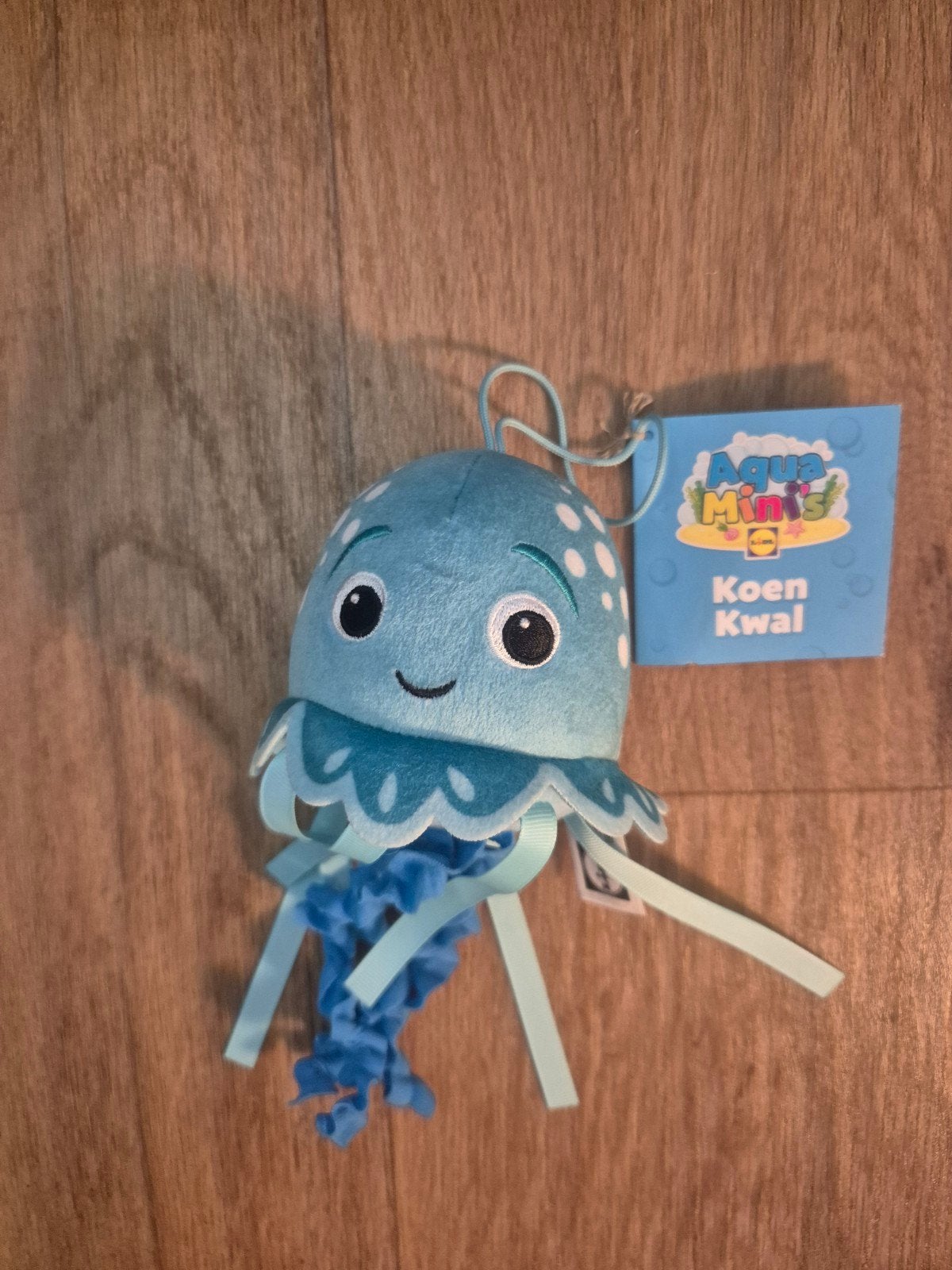 Koen kwal lidl actie aquamini, Lidl, Ophalen