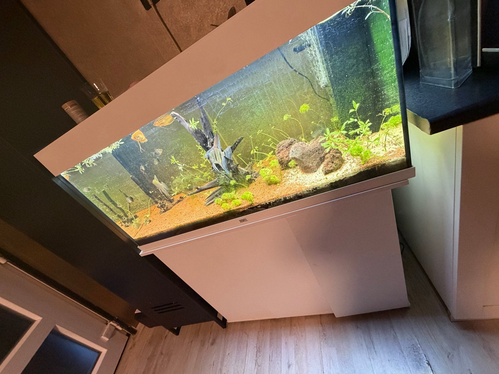 Juwel aqarium, Ophalen of Verzenden, Zo goed als nieuw, Juwel