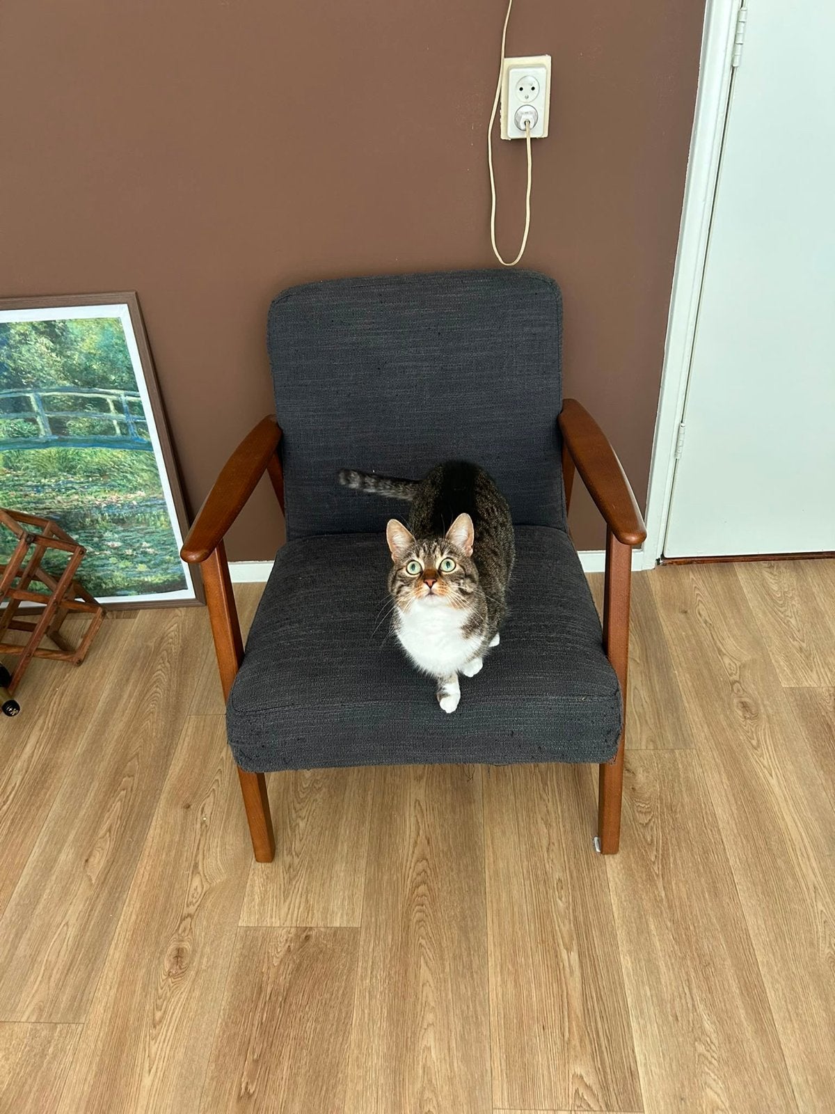 Ikea ekenaset, Ophalen, Gebruikt, Minder dan 75 cm, 50 tot 75 cm
