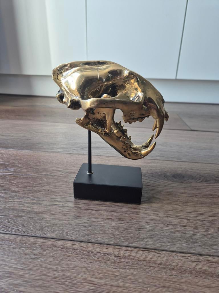 Bronzen gietstuk van een Sumatraanse tijgerschedel, Ophalen