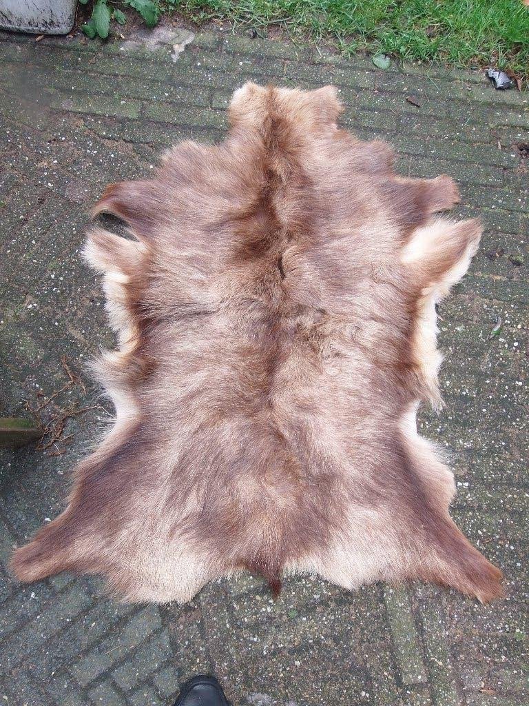 vacht wildzwijn, Ophalen of Verzenden, Gebruikt, Beeldje of Figuurtje