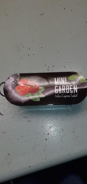 Mini Garden tomaten kweekbak, Tuin en Terras, Kweekspullen, Ophalen of Verzenden, Nieuw