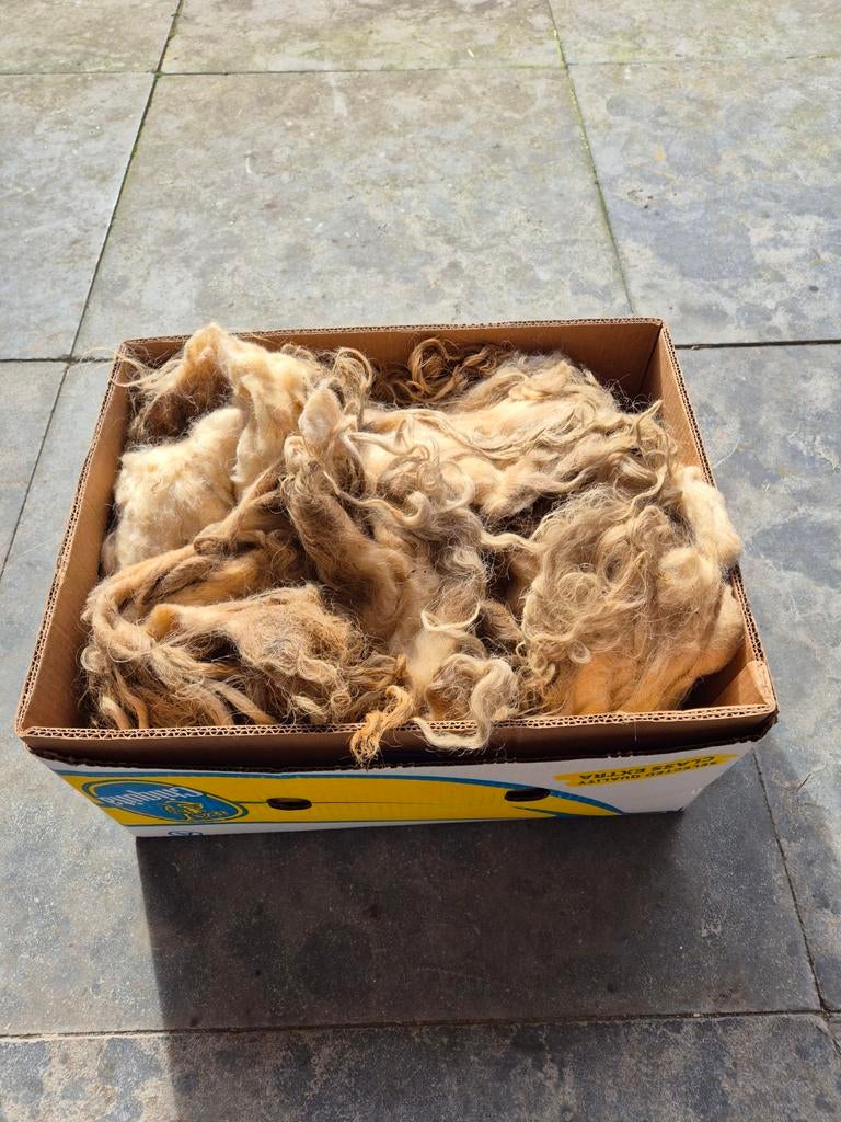 Langharige schapenvacht voor vilten, Ophalen, Figuurtje(s)