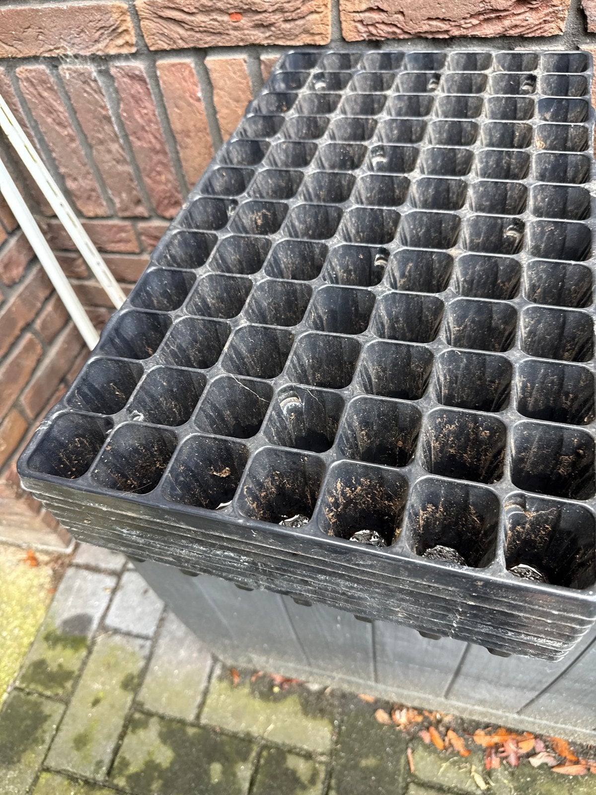 Kweekbakken/Zaaitrays voor planten (meerdere beschikbaar), Ophalen of Verzenden, Gebruikt, Kweekbak