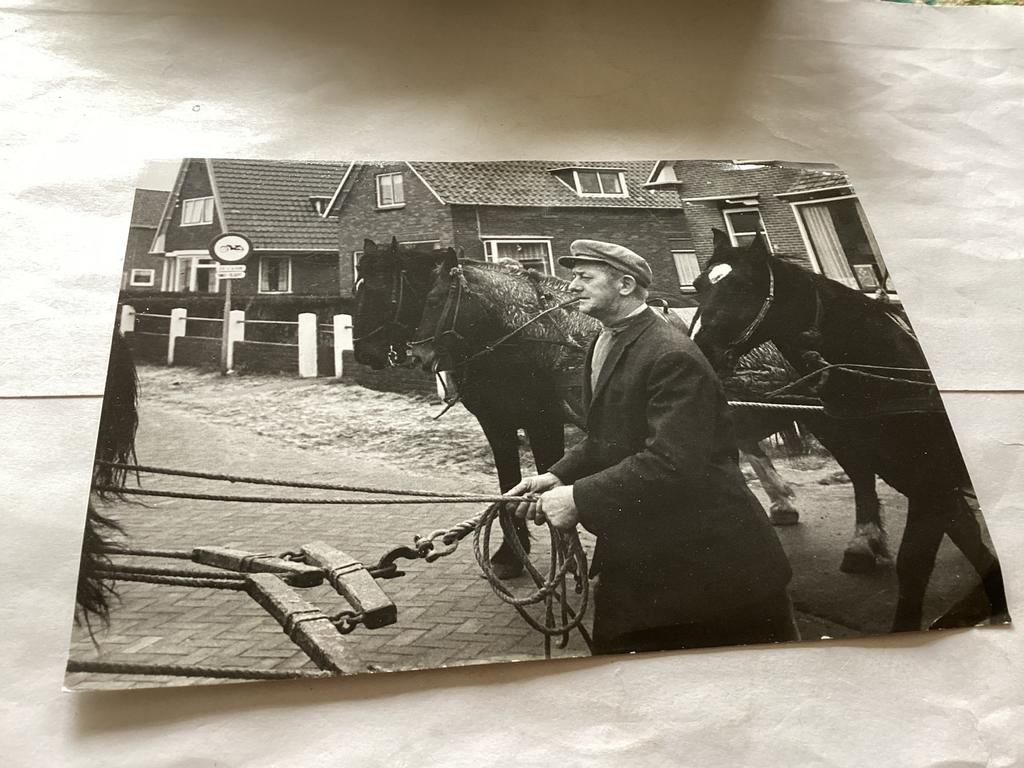 Vintage foto: Man met paarden en kar, jaren '60, 1960 tot 1980, Gebruikt, Foto, Ophalen of Verzenden