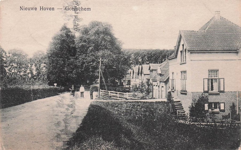 702-162-031 Nieuwe Hoven Gorinchem, Verzenden, Voor 1920, Zuid-Holland