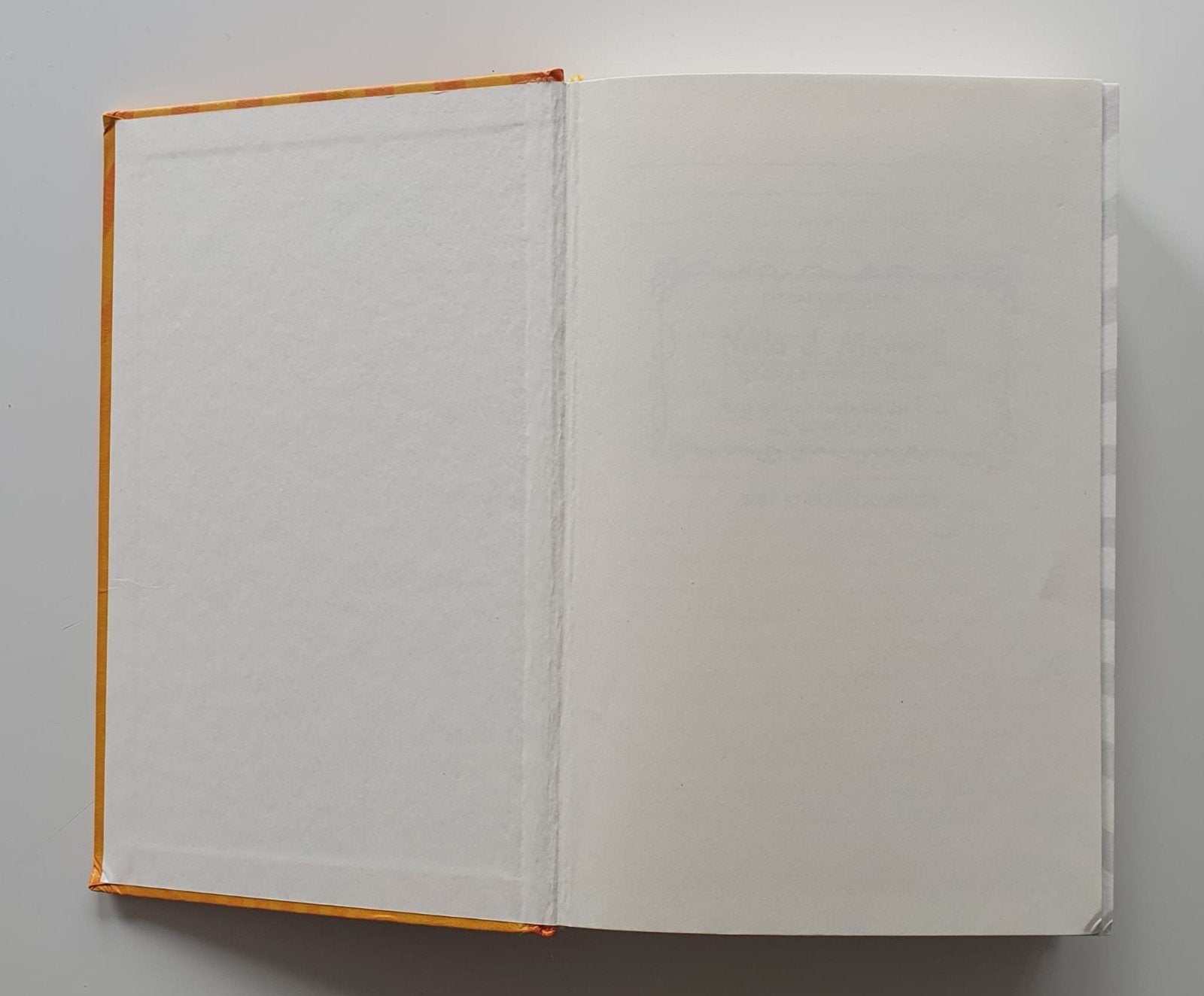 Dagboek van een muts - deel 3 - In de spotlights!, Boeken, Ophalen of Verzenden, Zo goed als nieuw