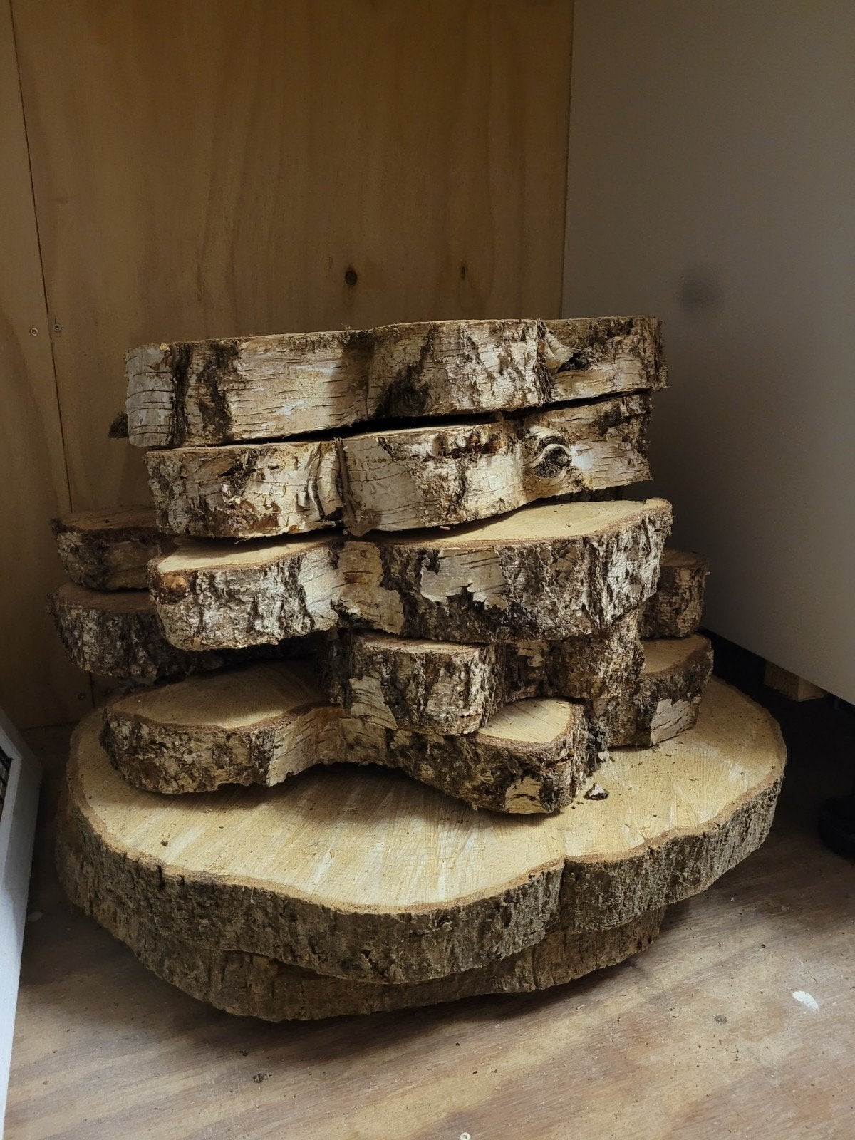 Gedroogde Berkenhout Boomstamschijven - Decoratie (30-40cm), Huis en Inrichting, Ophalen, Hout, Nieuw, Landelijk