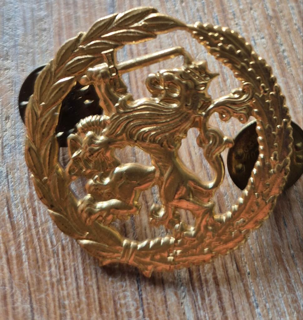 Militair embleem Landmacht: Nederlandse Leeuw, Ophalen of Verzenden, Landmacht, Nederland, Embleem of Badge