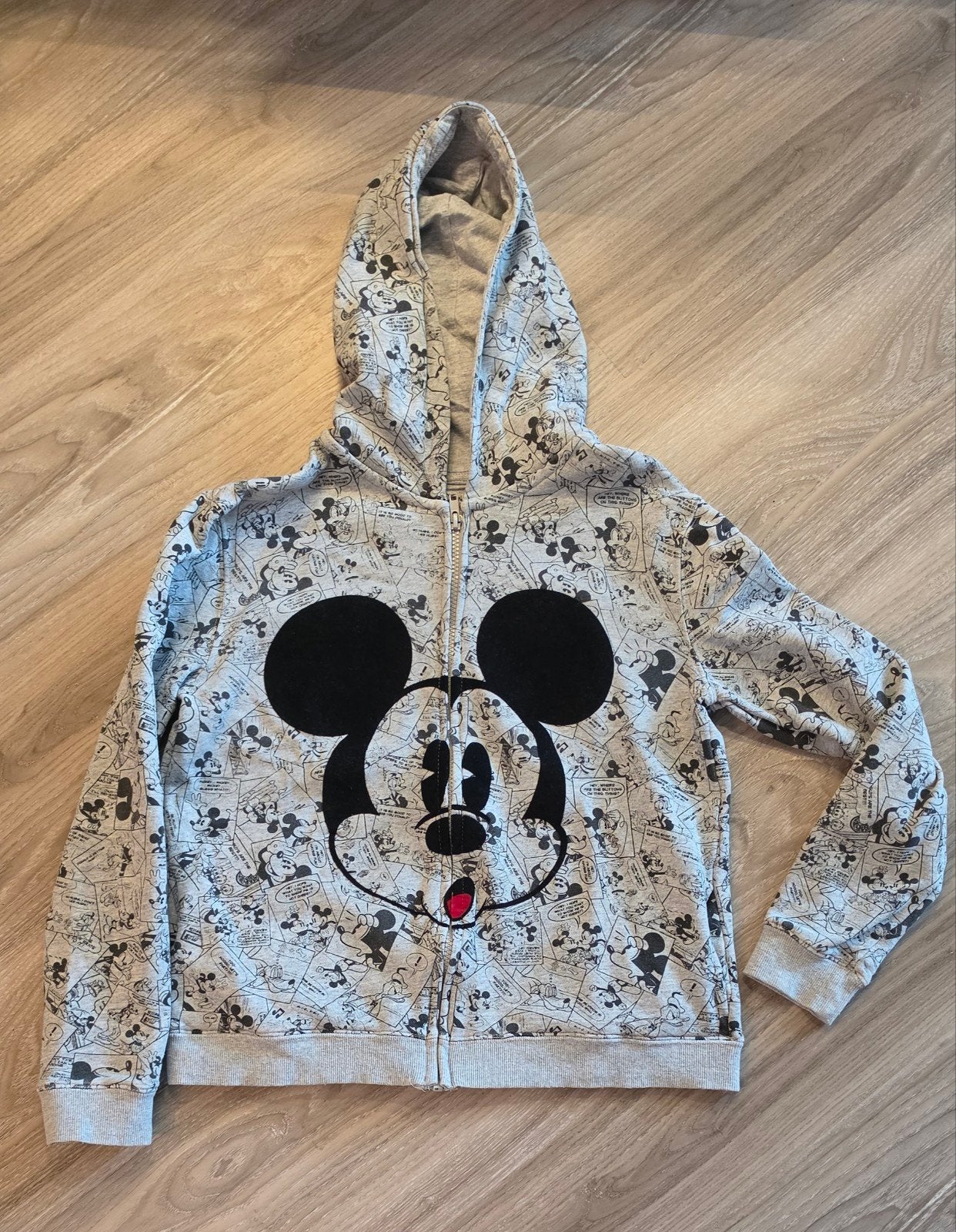 Mickey Mouse hoodie van Disneyland Parijs, Gebruikt, Trui of Vest, Ophalen of Verzenden, Jongen of Meisje