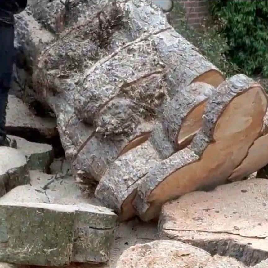 Grote boomstammen en blokken gratis in MIJDRECHT, Tuin en Terras, Haardhout, Minder dan 3 m³, Ophalen