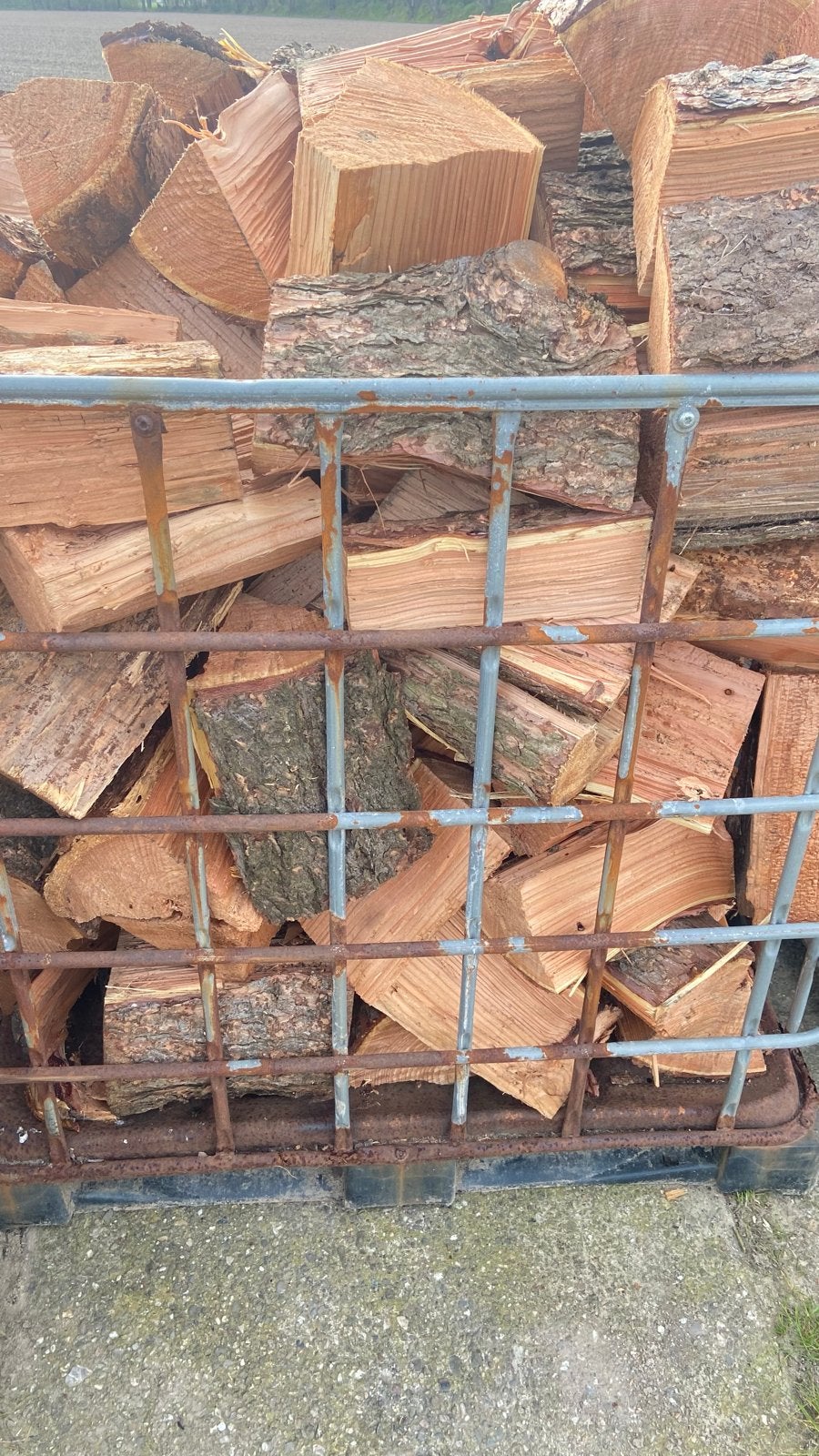 Gedroogd Lariks Brandhout - Direct Stookklaar, 6 m³ of meer, Ophalen, Overige houtsoorten, Blokken