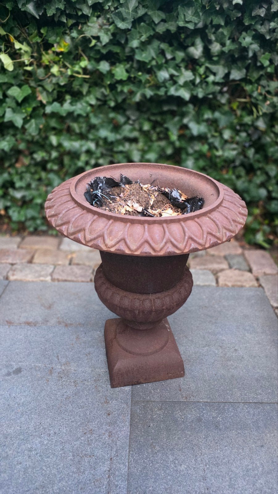 Gietijzeren tuinvaas (Franse sierpot of Medici-vaas), Tuin en Terras, Ophalen, Gebruikt, 40 cm of meer, Rond