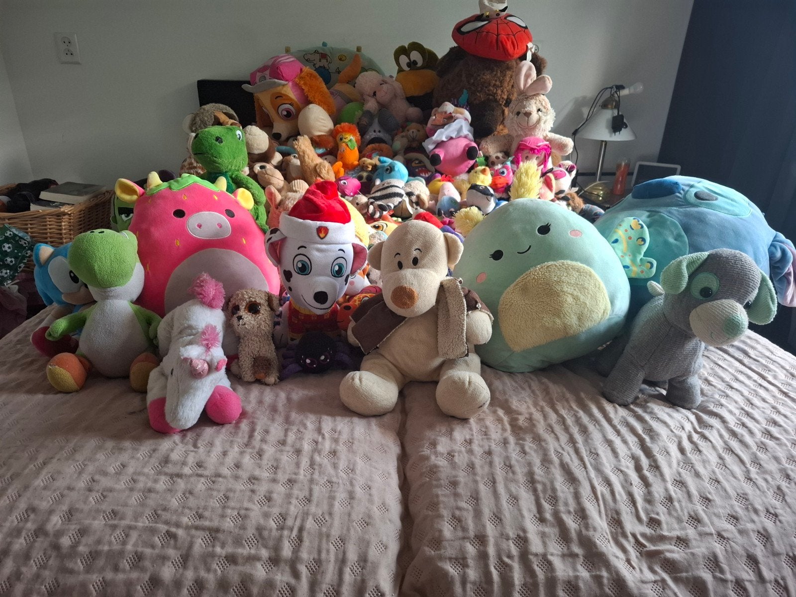 Grote collectie knuffels - diverse types en karakters, Gebruikt, Klein (minder dan 20 cm), Paw Patrol, Hond