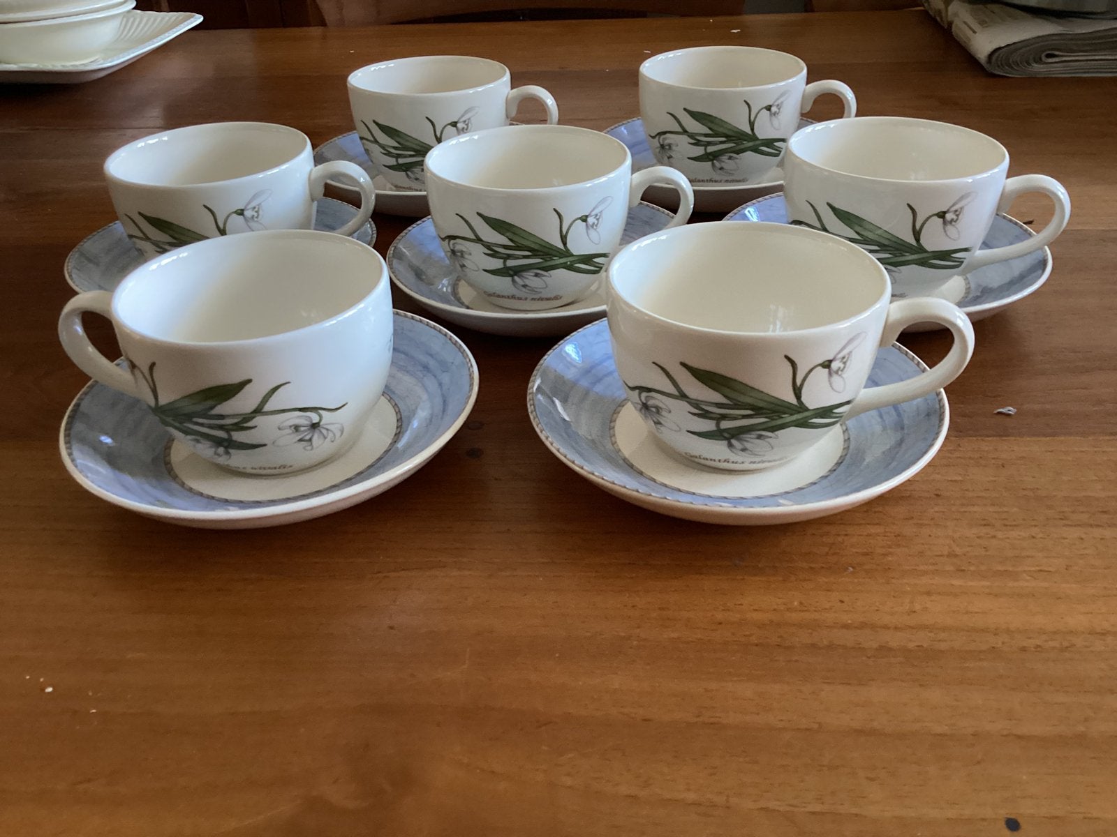 Wedgwood - Sarahs Garden - kop en schotels., Nieuw, Ophalen of Verzenden, Kop(pen) en/of Schotel(s), Wedgwood