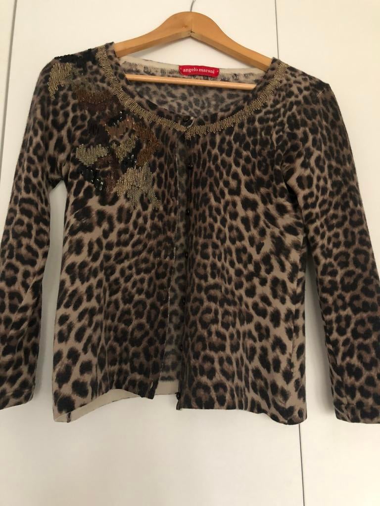 Angelo Marani vest panter Kasjmier - XS - ZGAN, Kleding | Dames, Truien en Vesten, Ophalen of Verzenden, Zo goed als nieuw, Maat 34 (XS) of kleiner