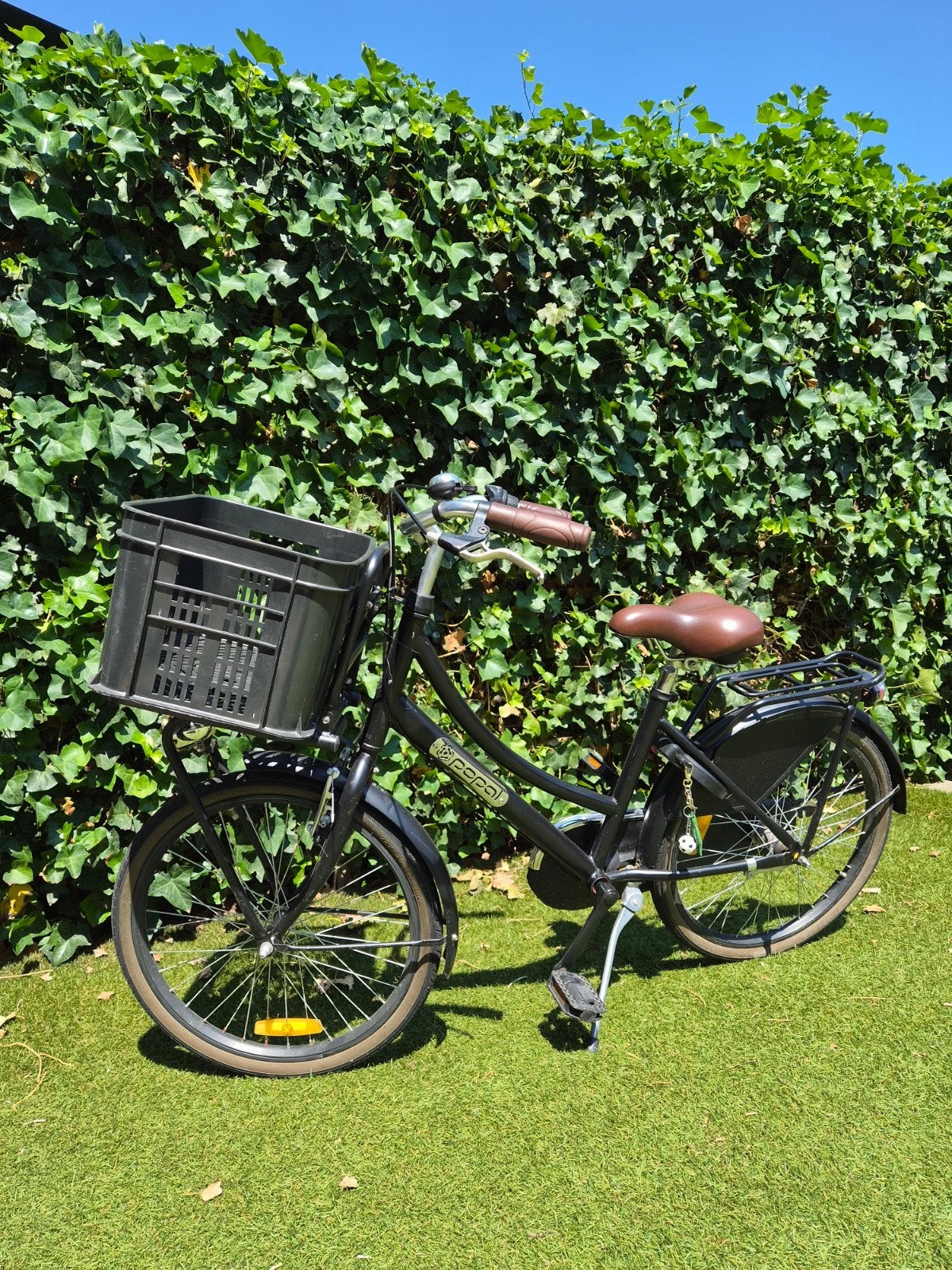 Popal Daily Dutch Basic fiets met krat 22 inch, Fietsen en Brommers, Fietsen | Meisjes, Ophalen, Terugtraprem, 22 inch, Gebruikt