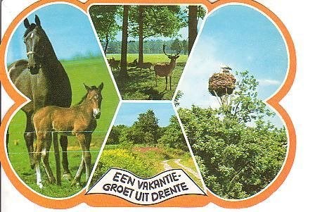 Ansichtkaart 	Drenthe	4-luik	Paarden, Verzenden, 1980 tot heden, Gelopen, Drenthe