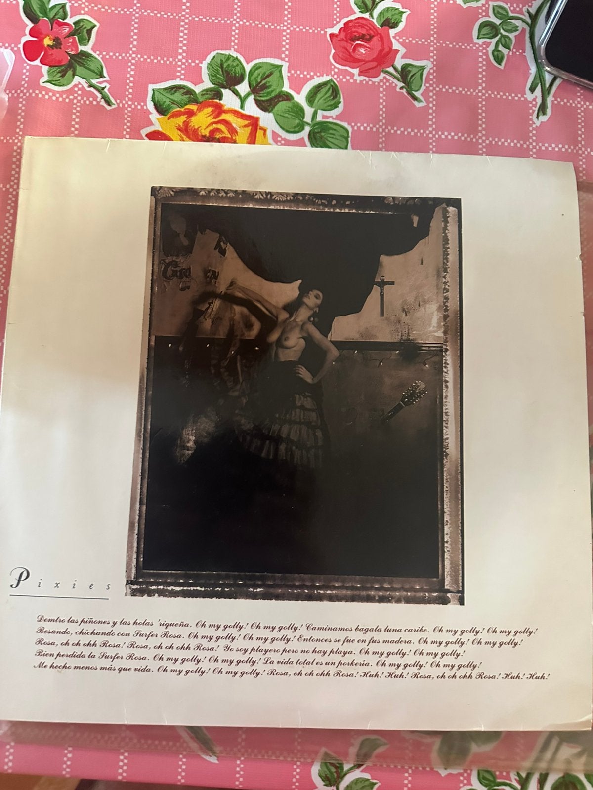 Lp pixies - surfer rosa, Ophalen, LP, 12 inch, Gebruikt