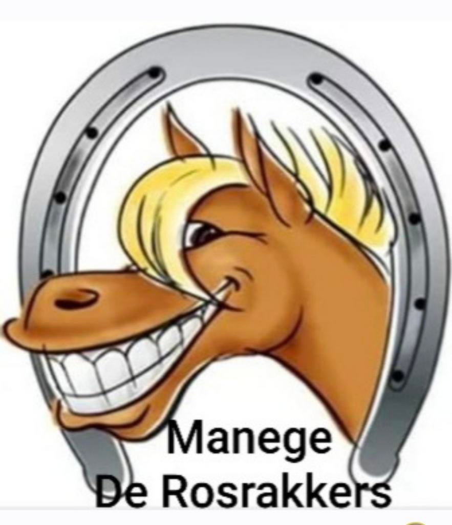 Stalling weidegang per direct beschikbaar, Weidegang, 4 paarden of pony's of meer