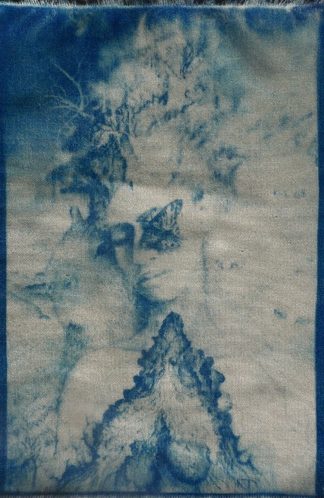 Eigen cyanotype prints en eigen design [kunst] 4, Ophalen of Verzenden, Print, Overige technieken, Handgemaakt