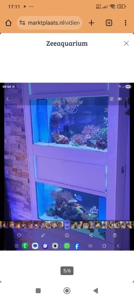 Zee aquarium, Ophalen, Inclusief deksel, Zo goed als nieuw, Leeg aquarium