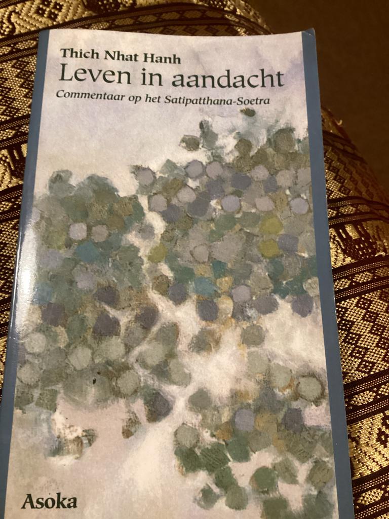 Leven in aandacht - Thich Nhat Hanh, Ophalen of Verzenden, Zo goed als nieuw, Praktische filosofie