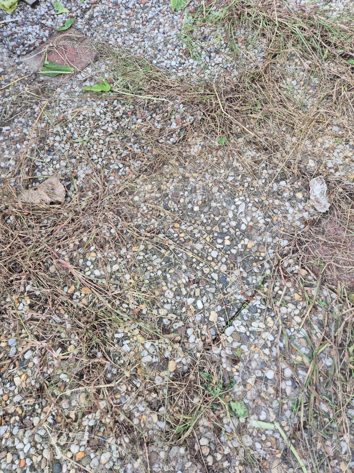Gebruikte terrastegels van grindbeton, Ophalen, Gebruikt, Minder dan 5 m², Grind