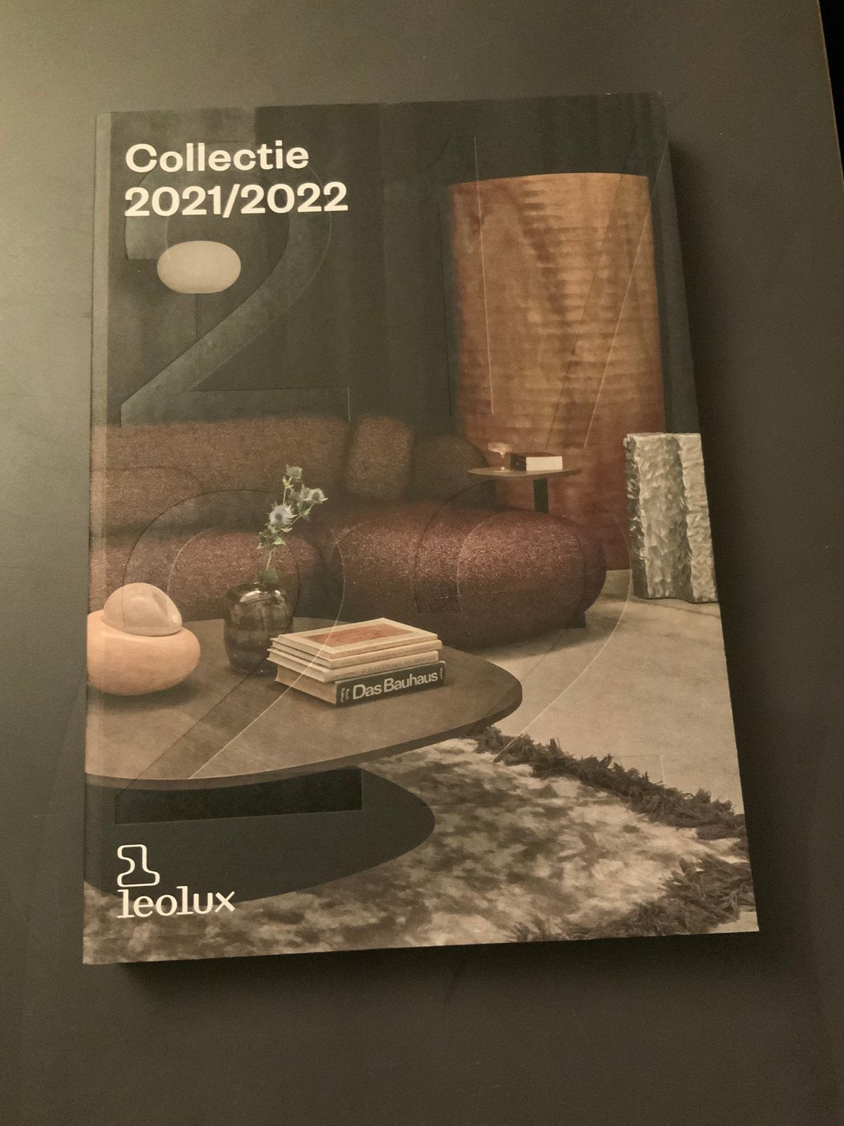 Catalogus LEOLUX 2021/22. Nieuwstaat., Boeken, Ophalen of Verzenden, Zo goed als nieuw, Overige onderwerpen