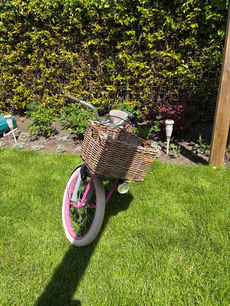 Meisjesfiets 20 inch - Lola Popal met mandje en bagagedrager, Ophalen, Terugtraprem, Gebruikt, Handrem