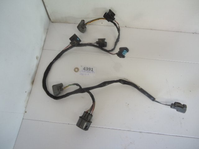 CBR600FS 2001 - 2002 Honda Kabelboom D1-16852