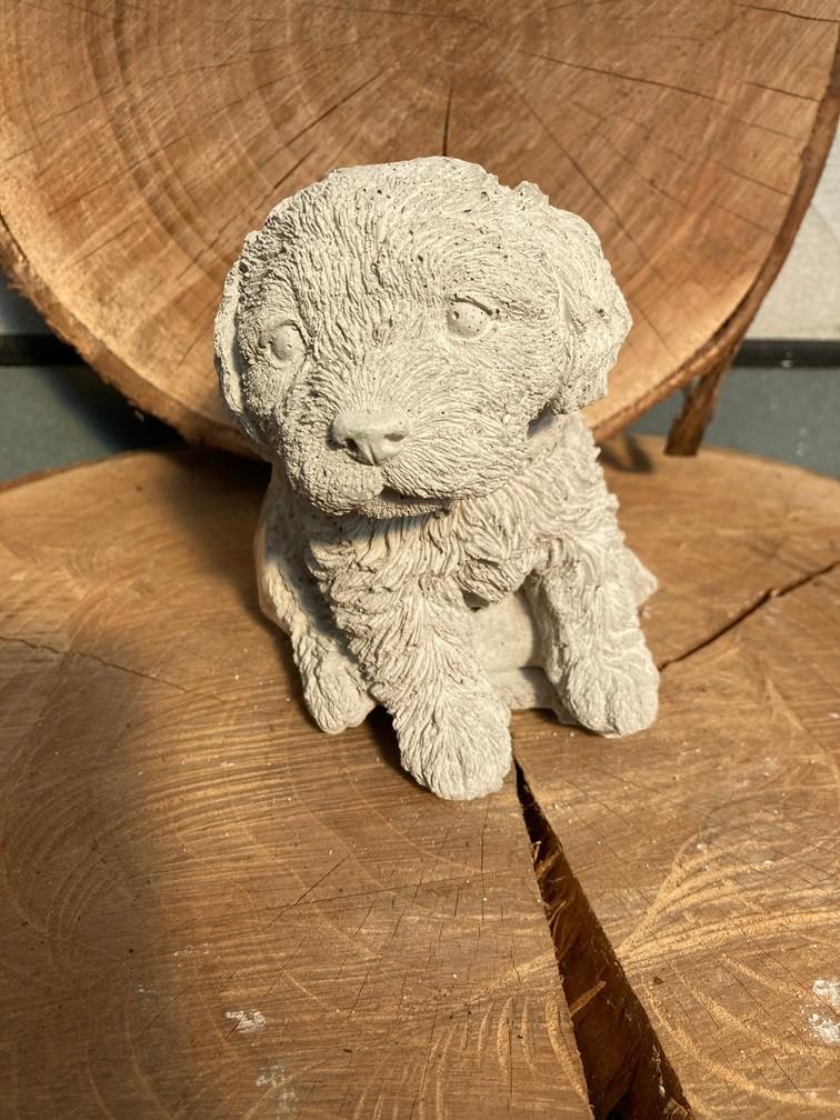 HOND ZITTEND STEEN NIEUW, Dierenbeeld, -, -, Nieuw