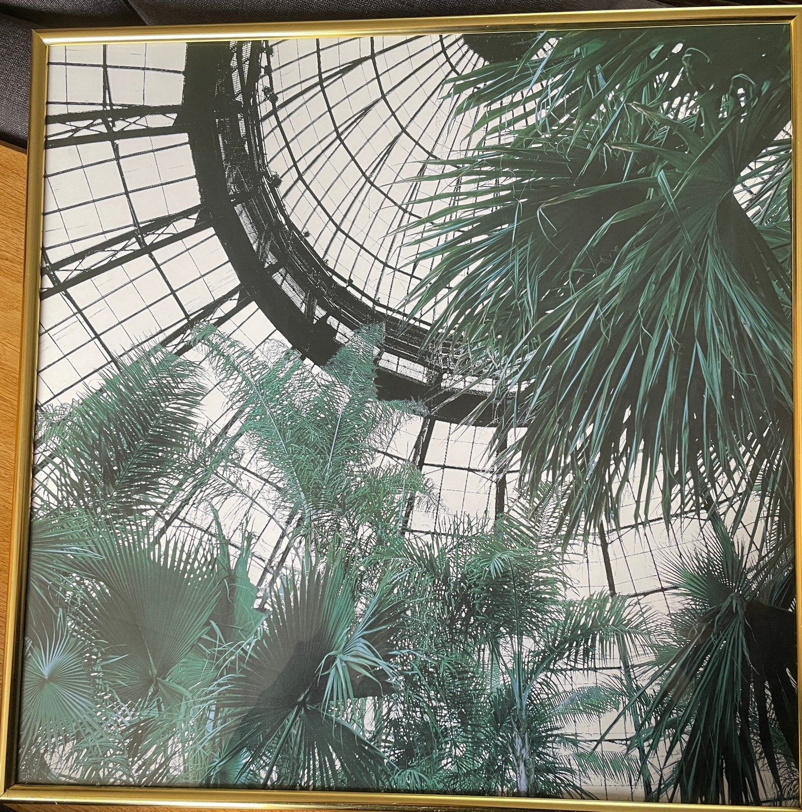 Goud ingelijste poster met palmbladeren 50x50 cm., Ophalen, Zo goed als nieuw, Minder dan 50 cm, Minder dan 50 cm