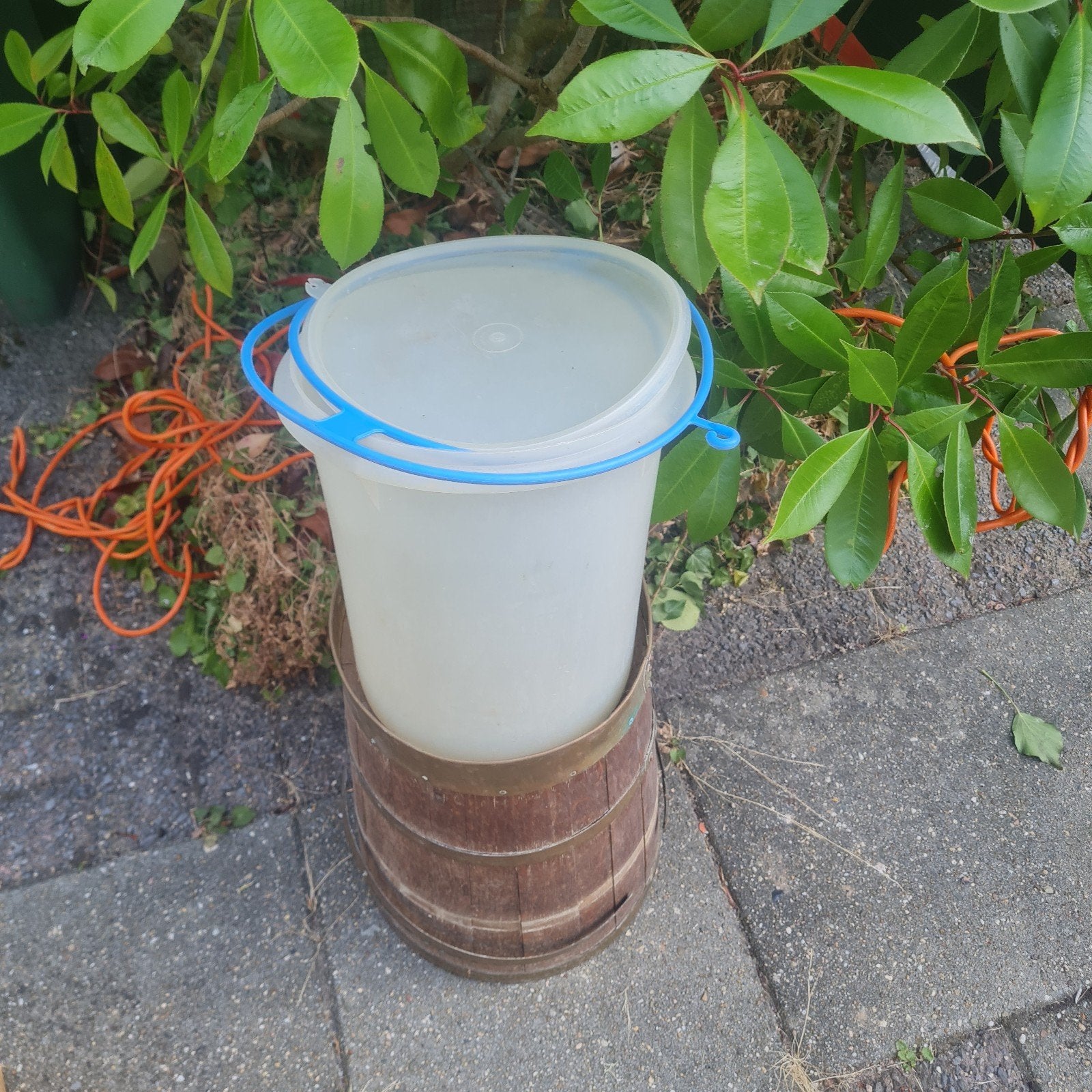 Tupperware wasmand met deksel - Handig en stevig, Huis en Inrichting, Gebruikt, Wit, Overige typen, Ophalen of Verzenden