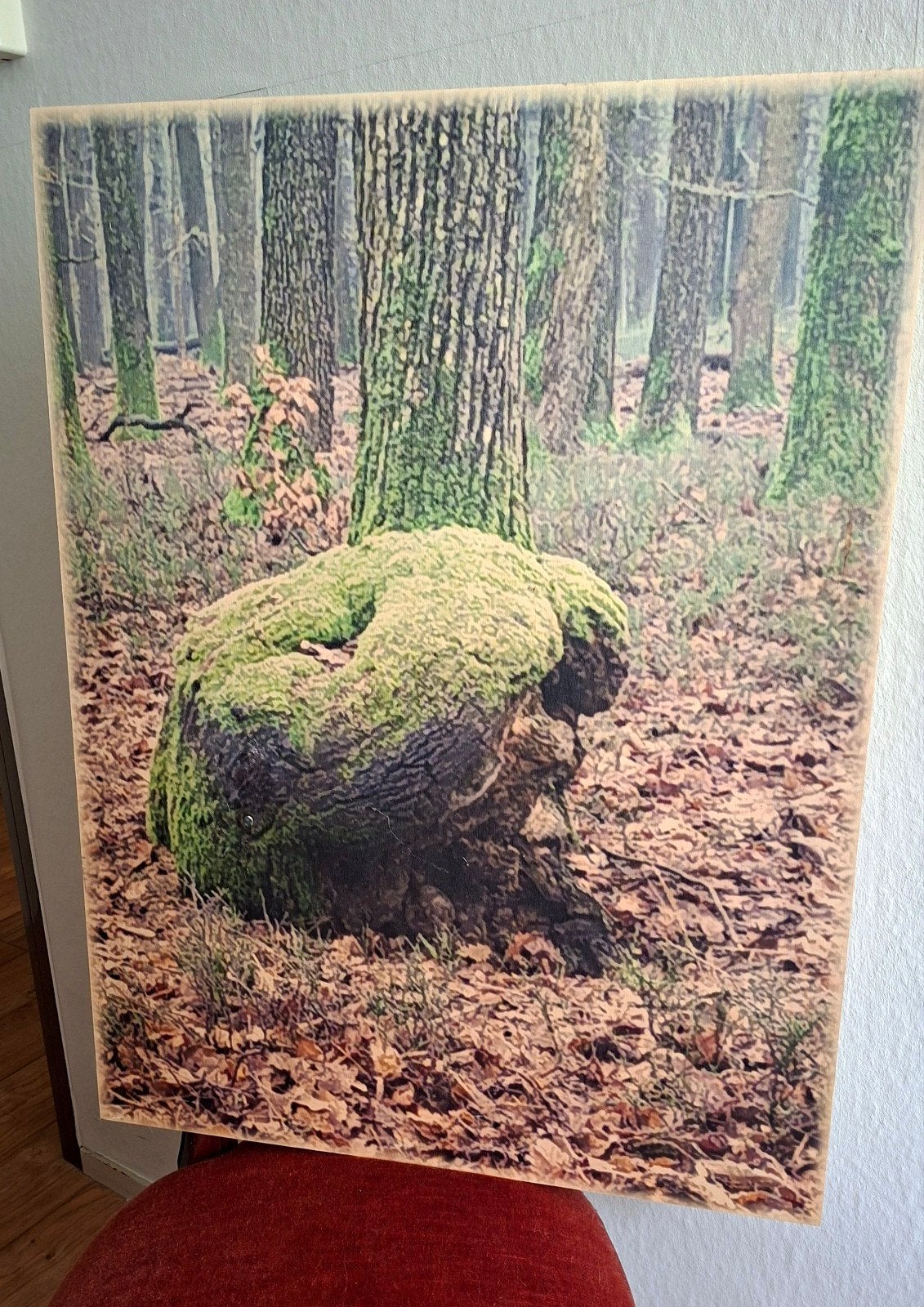 Foto op hout, Ophalen of Verzenden