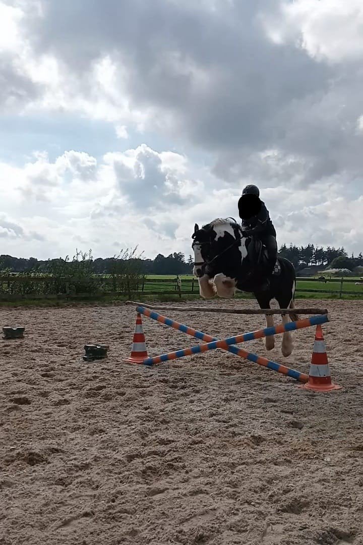 Verzorger gezocht