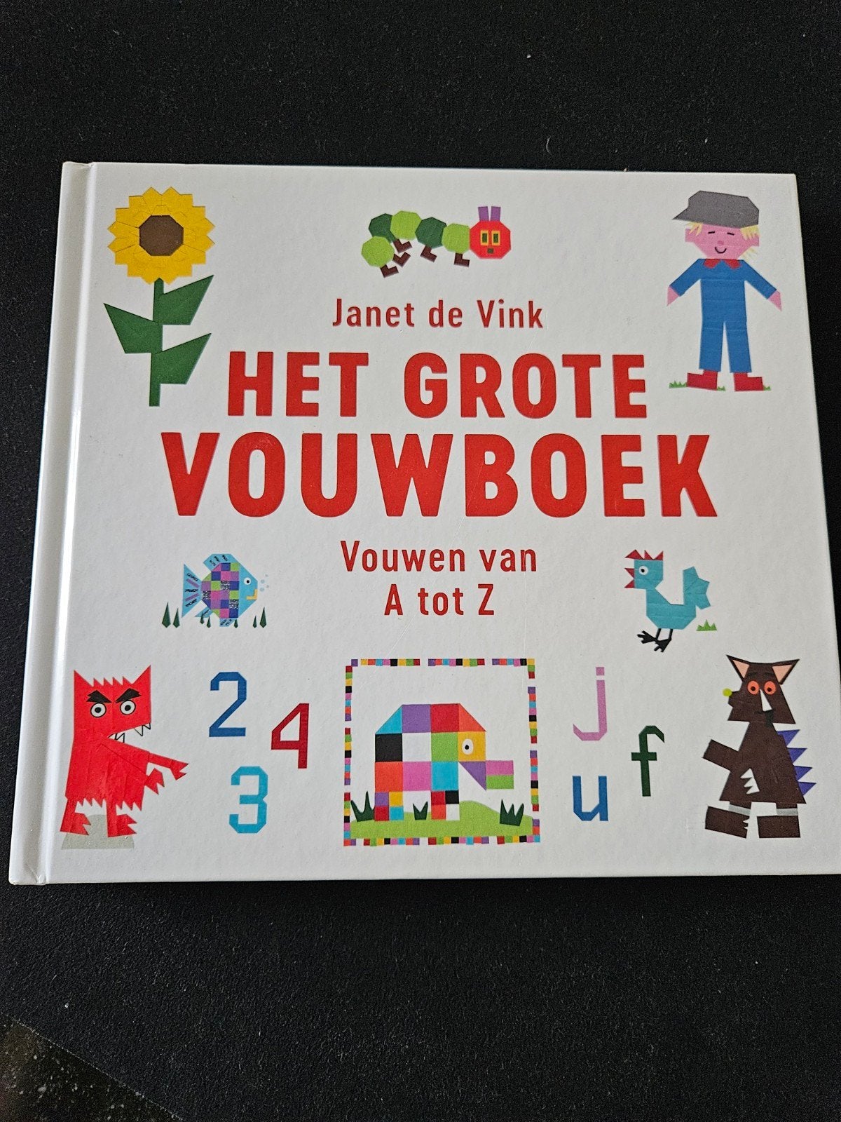 Janet de Vink - Het grote vouwboek, Boeken, Non-fictie, Ophalen of Verzenden, Zo goed als nieuw, Janet de Vink