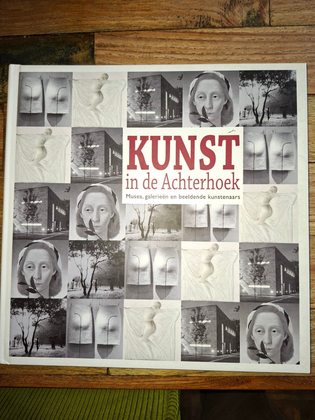 KUNST in de Achterhoek: Musea, galerieën en kunstenaars, Ophalen of Verzenden, Zo goed als nieuw, Overige onderwerpen, Willem Beemers, Anne van der Meiden