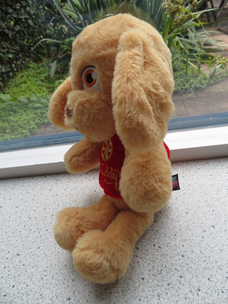 Hond BUDDY mascotte van Kinderthuiszorg Bik en Bibi, Zo goed als nieuw, Middelgroot (20 tot 80 cm), Met label, Hond