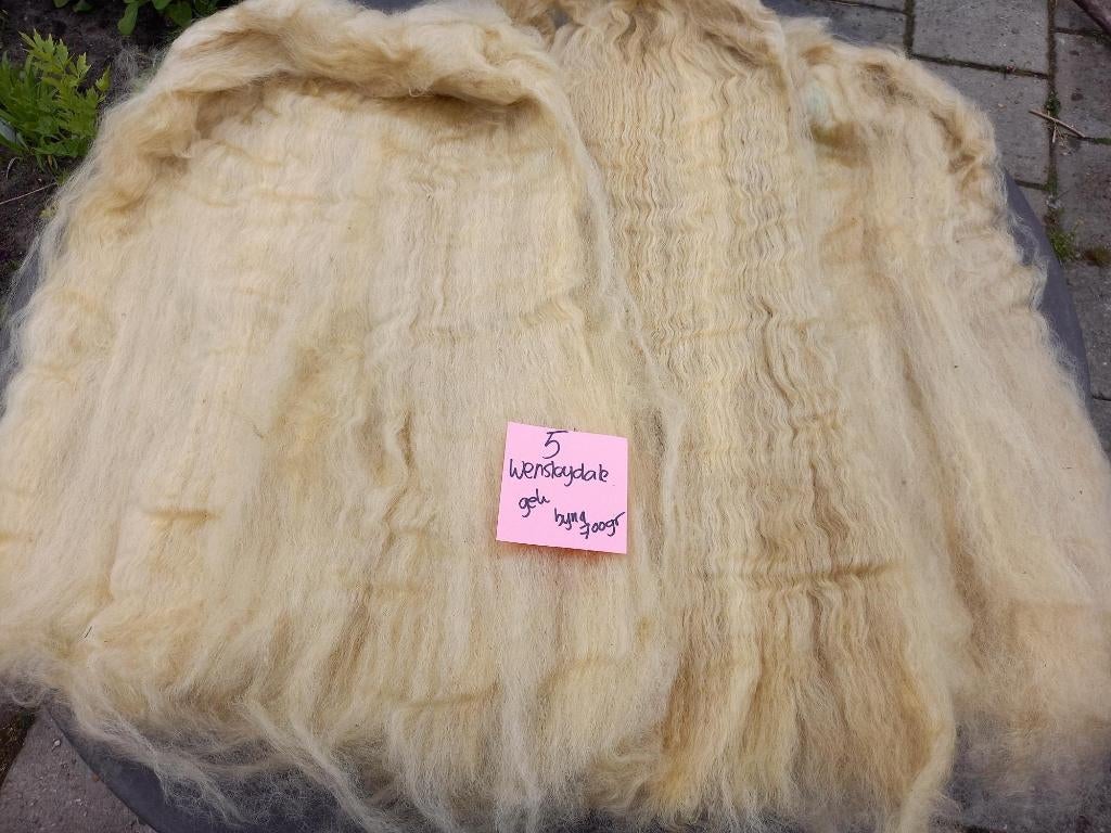 nr 5 Gekaarde wol kaardvlies van een Wensleydale, Ophalen of Verzenden, Nieuw
