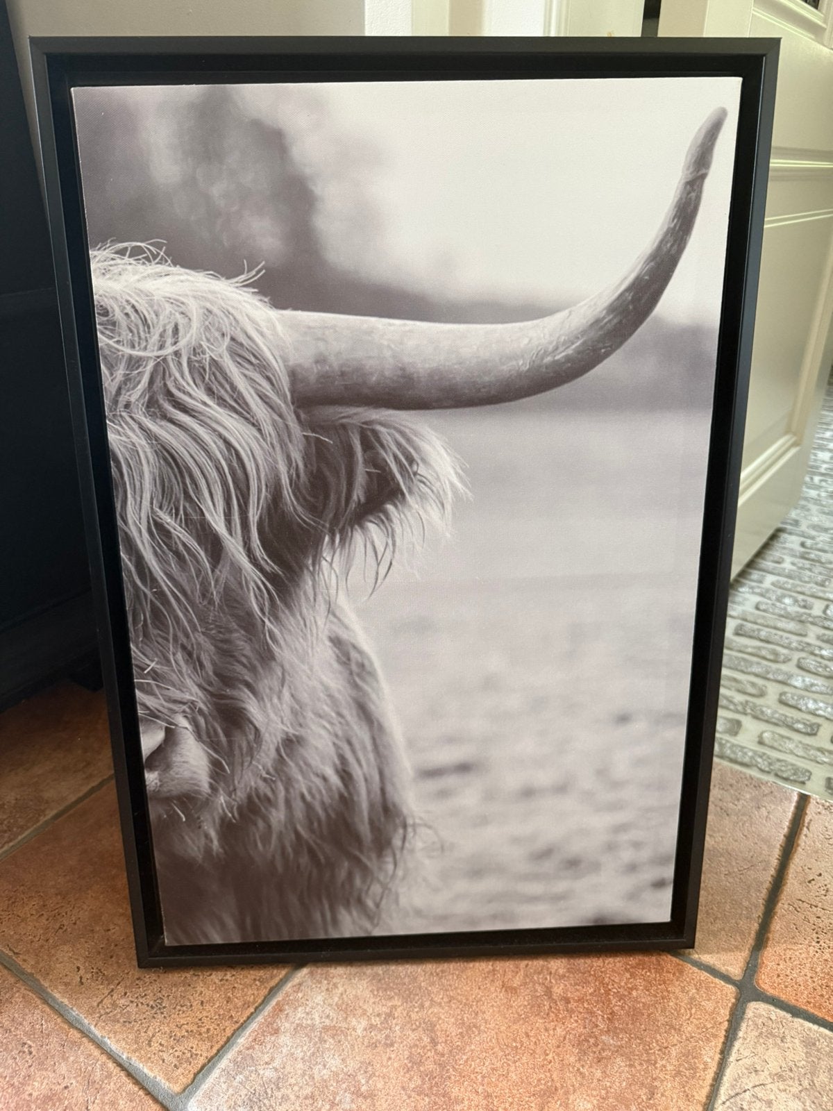 Canvas fotoschilderij Schotse hooglander, 65 cm, 44 cm, Zo goed als nieuw, Hout