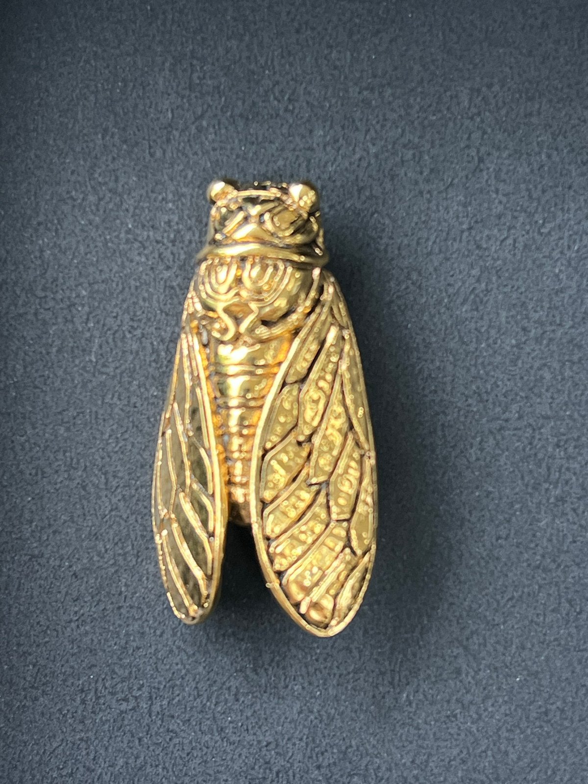 Vintage Cicade Broche - Ontwerp René Gouin, Overige materialen, 4 tot 7 cm, Info@4abeautifulday.nl, Frankrijk