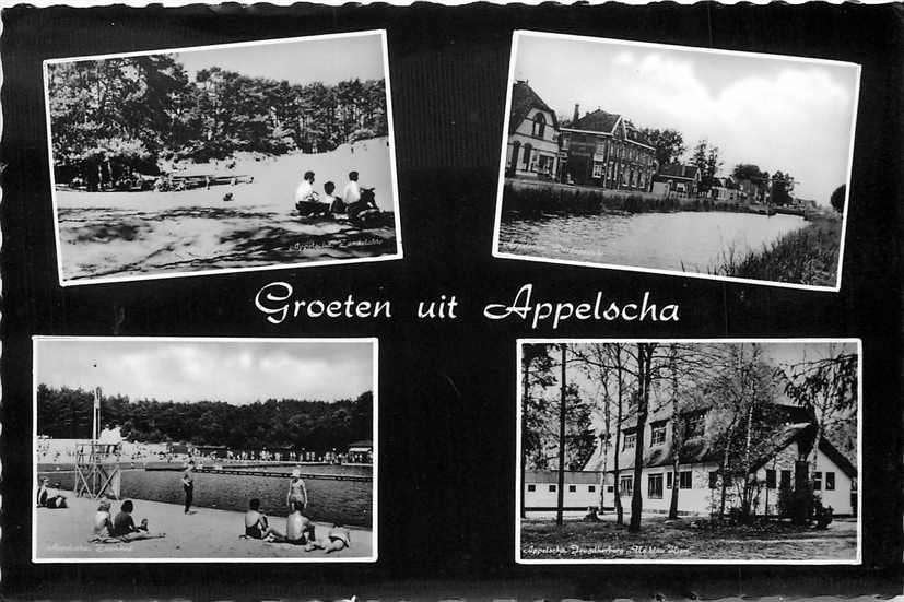 377-343-029 Appelscha Multiview, Ophalen of Verzenden, Voor 1920, Friesland