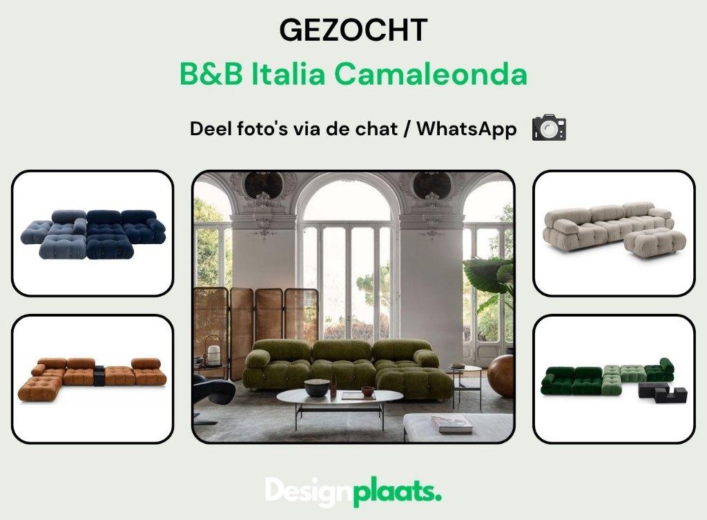 GEZOCHT: B&B Italia Camaleonda - Directe Inkoop, Design Bankstellen B&B Italia, -, -, Ophalen of Verzenden