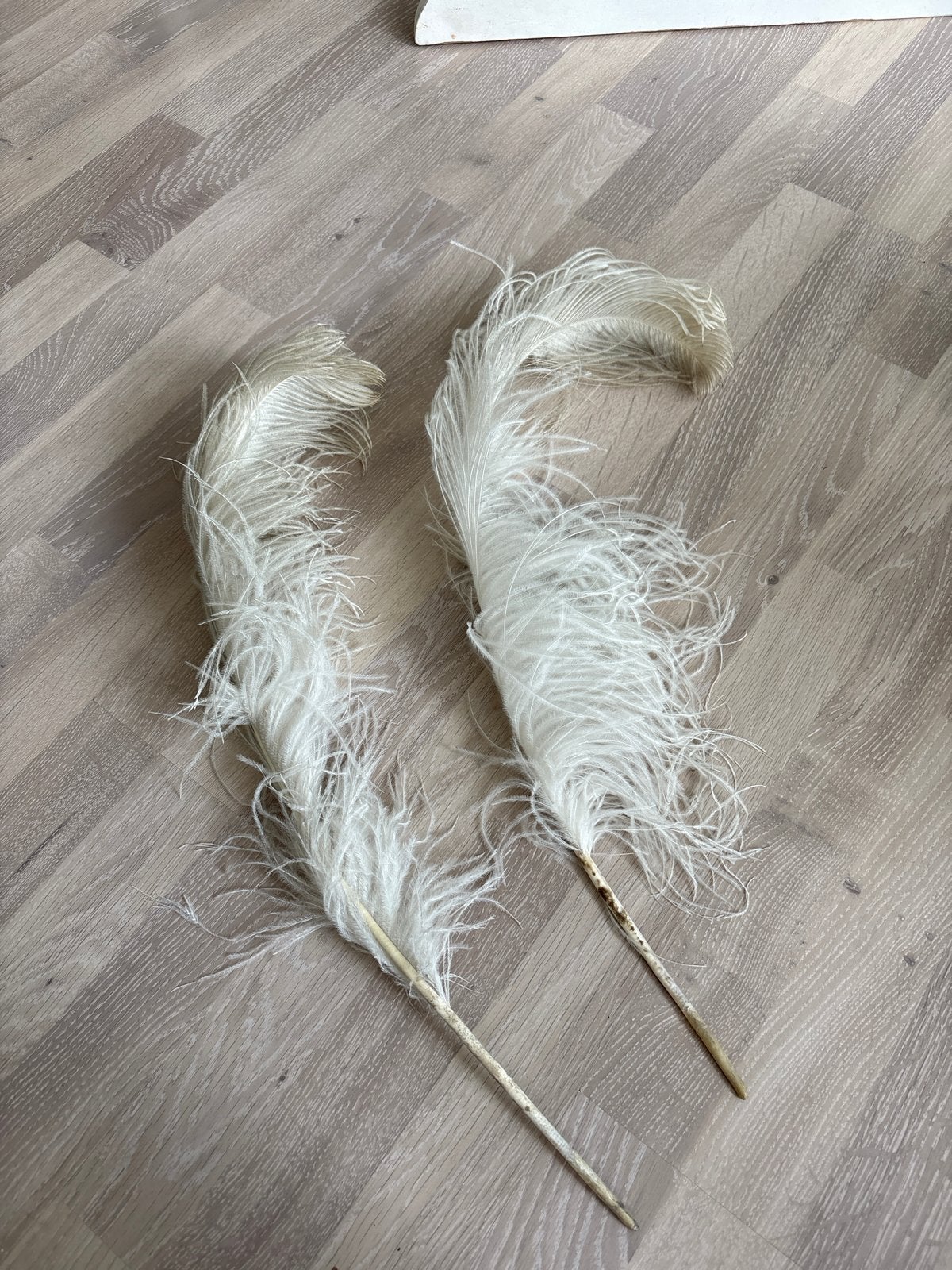 Decoratieve struisvogelveren - Wit, Ophalen of Verzenden, Gebruikt, Wit, Natuurlijk materiaal