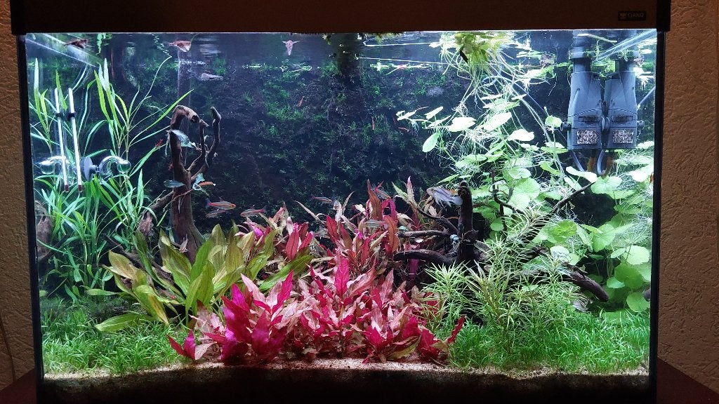 Aangeboden Ciano emotions aquarium, Dieren en Toebehoren, Ophalen, Gebruikt, Pomp, Overige merken
